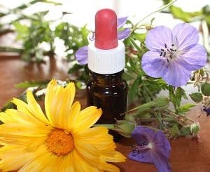 Herbal Medicine Nature Natural Remedy