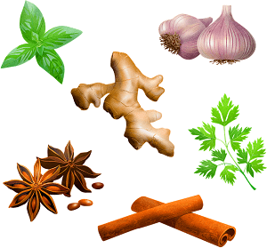 Herbs Spices Naturopathy Feel Good Balham