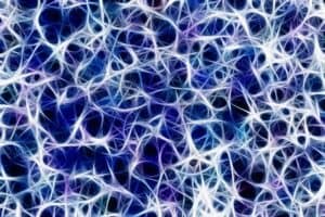 FGB Rolfing Network