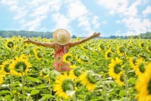 Counselling Coaching Therapy Anxiety Depression Support Phobias Path Direction Insomia